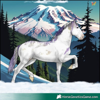 Horse Color:Watercolor White Spotted Blue Onyx Ice Splash Frame 