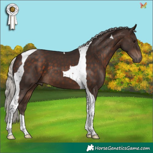 Horse Color:Silver Brown Tobiano 
