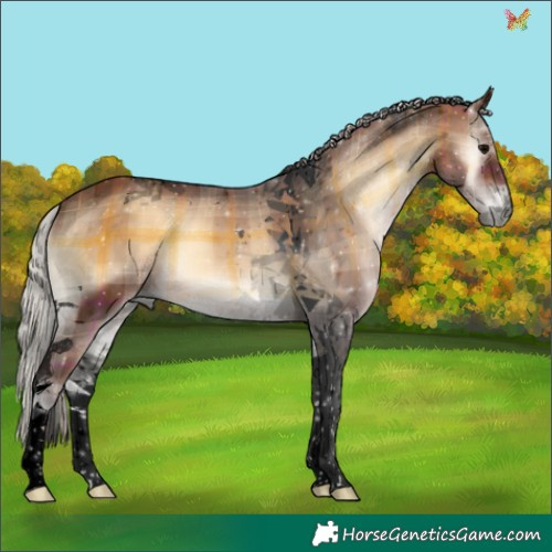 Horse Color:Void Plaid  Silver Bay Onyx Tobiano 