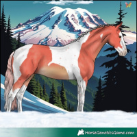 Horse Color:Watercolor Chocolate Palomino Splash Tobiano
