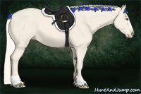 Horse Color:Cremello Sabino