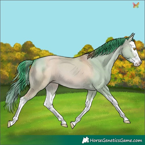 Horse Color:Watercolor Sable Champagne Dun Splash 
