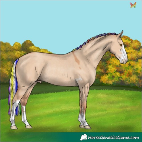 Horse Color:Painted Silver Classic Champagne Dun Sabino Rabicano 
