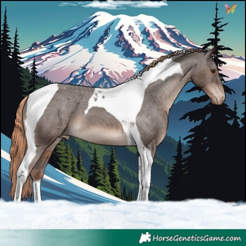 Horse Color:Liver Chestnut Tobiano Varnish 
