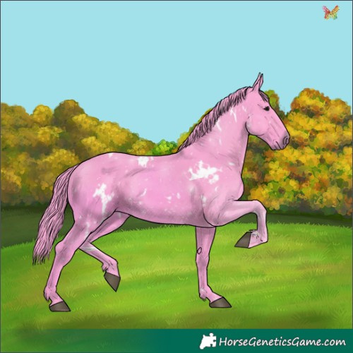 Horse Color:Watercolor White Spotted Black 
