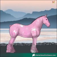 Horse Color:Watercolor White Spotted Black 