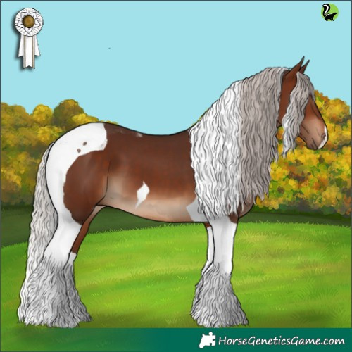 Horse Color:Silver Brown Tobiano 
