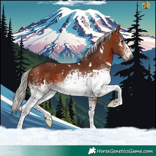 Horse Color:White Spotted Silver Bay 