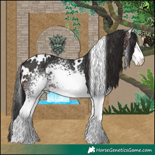 Horse Color:White Spotted Brown 