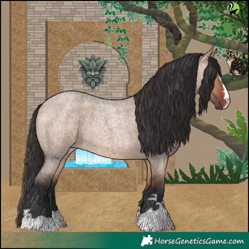 Horse Color:Bay Roan Dun 