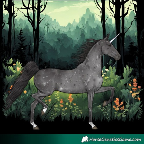 Horse Color:Smoky Black 