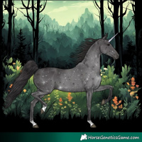 Horse Color:Smoky Black