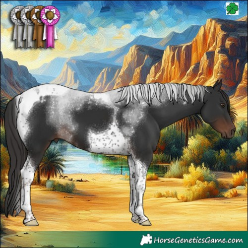 Horse Color:Liver Chestnut Tobiano 