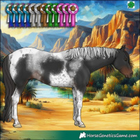 Horse Color:Liver Chestnut Tobiano 