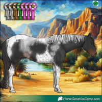 Horse Color:Liver Chestnut Tobiano 