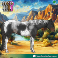 Horse Color:Liver Chestnut Tobiano 