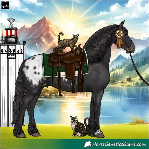 Horse Color:Smoky Black Blanket 
