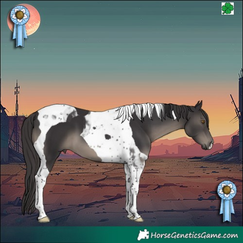 Horse Color:Smoky Black Tobiano 