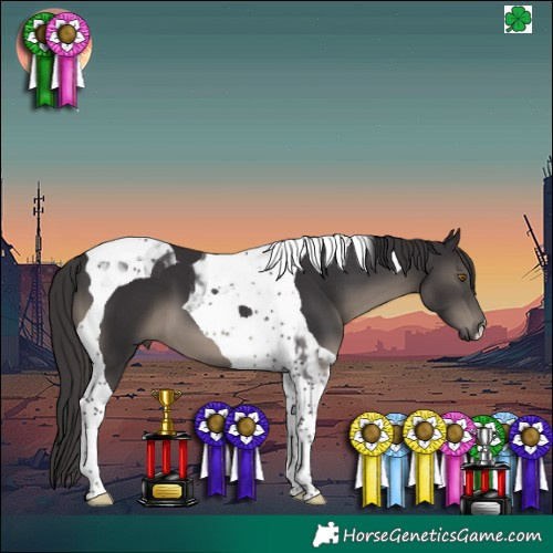Horse Color:Smoky Black Tobiano 