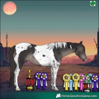 Horse Color:Smoky Black Tobiano 