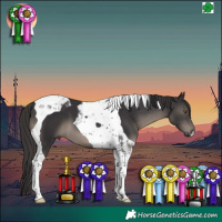 Horse Color:Smoky Black Tobiano 