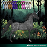 Horse Color:Black 