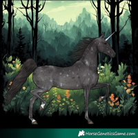 Horse Color:Smoky Black