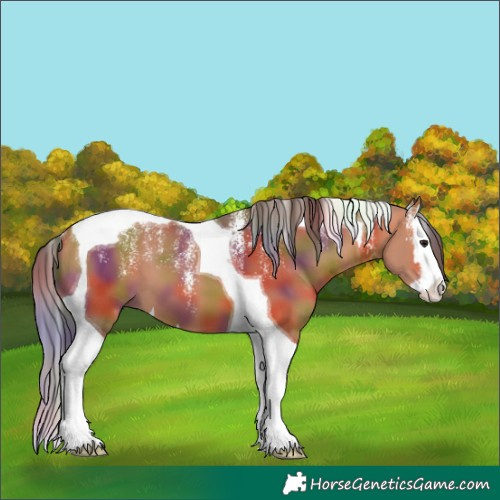 Horse Color:Powder White Nacre Bay Splash Tobiano 