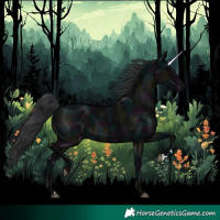 Horse Color:Midnight Black 