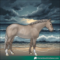 Horse Color:Silver Grullo Rabicano 