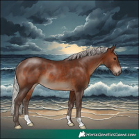 Horse Color:Silver Brown Rabicano 