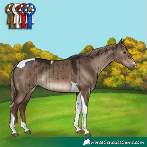 Horse Color:Liver Red Dun Sabino Tobiano Rabicano Brindle 