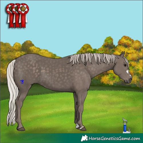 Horse Color:Silver Black 