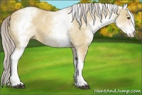 Horse Color:White Spotted Palomino Dun 