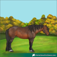 Horse Color:Brown 