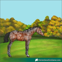 Horse Color:Brown Ice