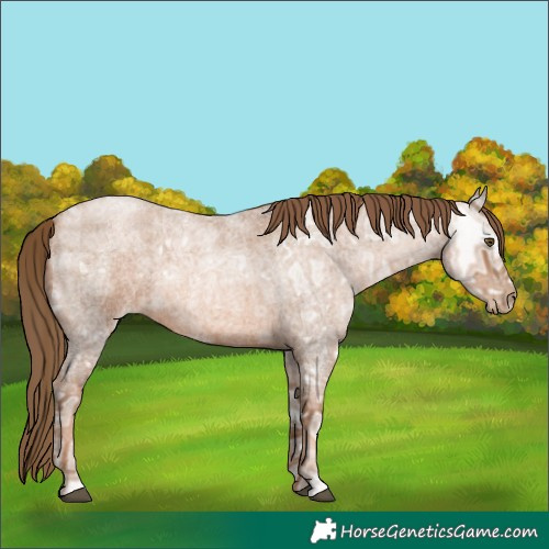 Horse Color:Liver Red Ice Roan Pearl 