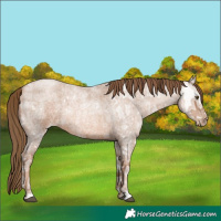 Horse Color:Liver Red Ice Roan Pearl
