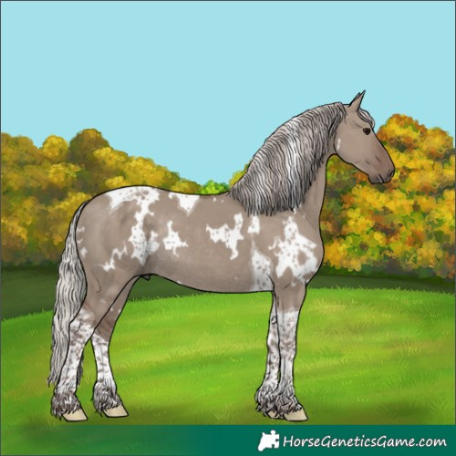 Horse Color:White Spotted Silver Grullo Tobiano Rabicano 