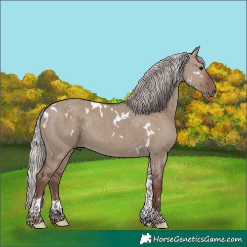 Horse Color:White Spotted Silver Grullo Tobiano 