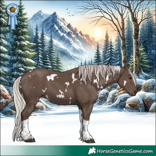 Horse Color:White Spotted Silver Black Tobiano 