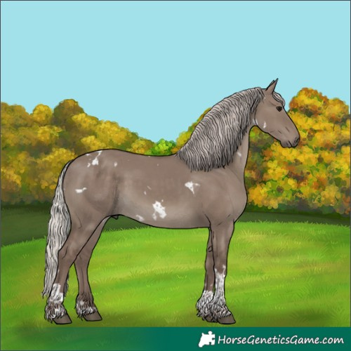 Horse Color:White Spotted Silver Grullo Tobiano 