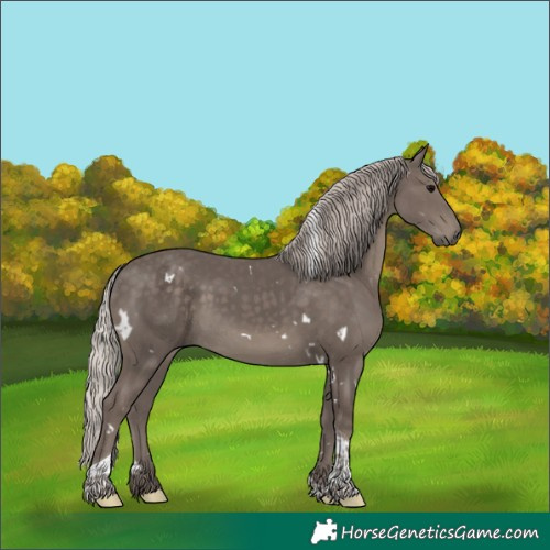 Horse Color:White Spotted Silver Black Tobiano 