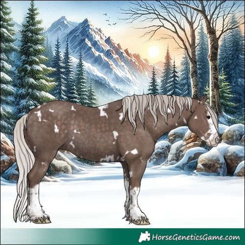 Horse Color:White Spotted Silver Black Splash Rabicano 