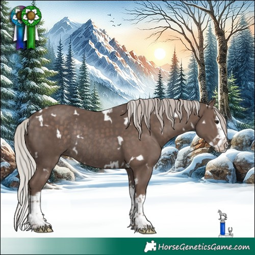 Horse Color:White Spotted Silver Black Splash Rabicano 
