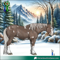 Horse Color:White Spotted Silver Black Splash Rabicano
