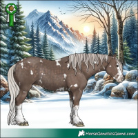 Horse Color:White Spotted Silver Black Splash Rabicano 