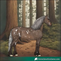 Horse Color:White Spotted Silver Brown Dun 