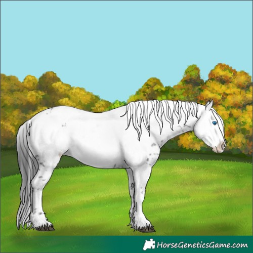 Horse Color:Black Frame 