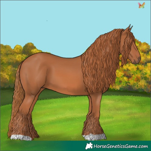 Horse Color:Chestnut 
